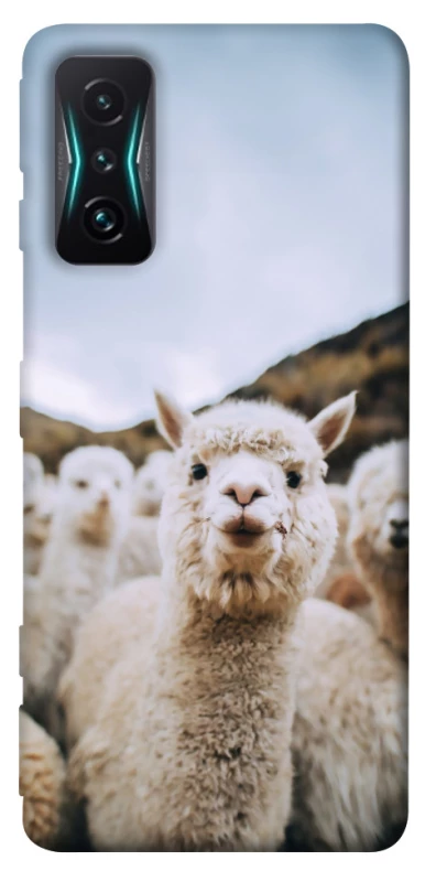 Чохол на Xiaomi Redmi K50 Gaming Лама фото 1 з 1