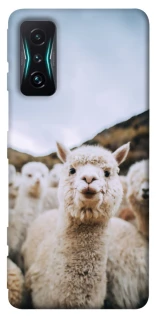 Чохол на Xiaomi Redmi K50 Gaming Лама фото 1 з 1