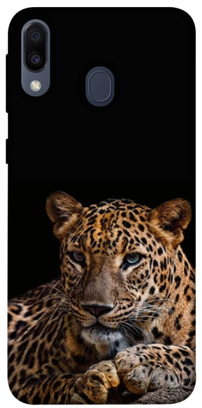 Чохол на Samsung Galaxy M20 Leopard v4 фото 1 з 1