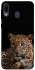 Чохол на Samsung Galaxy M20 Leopard v4 фото 1 з 1