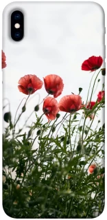 Чохол на Apple iPhone XS Max (6.5") Поле маків фото 1 з 1