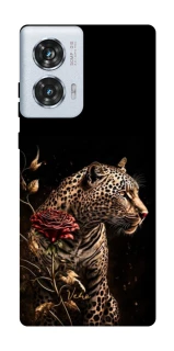 Чехол на Motorola Edge 50 Fusion Leopard v3 фото 1 из 1