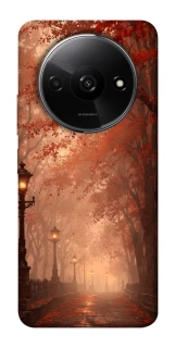 Чехол на Xiaomi Redmi A3 boulevard фото 1 из 1