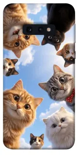 Чехол на Samsung Galaxy S10e Cats фото 1 из 1
