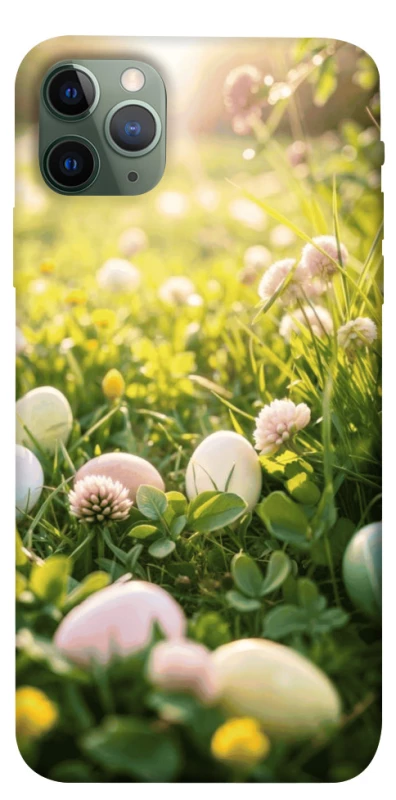 Чохол на Apple iPhone 11 Pro Max (6.5") Hello Spring фото 1 з 1