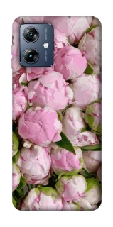 Чохол на Motorola Moto G54 Power Nature’s Elegance фото 1 з 1