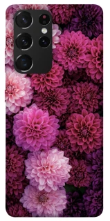 Чохол на Samsung Galaxy S21 Ultra Garden1 фото 1 з 1