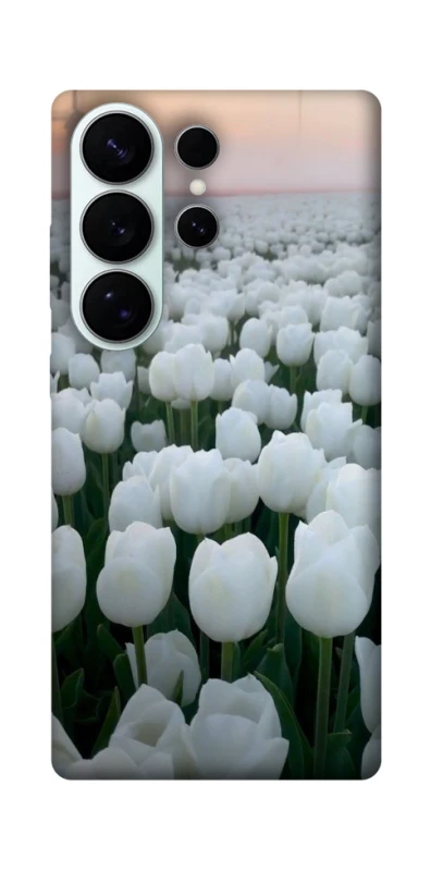 Чохол на Samsung Galaxy S26 Flowers v1 фото 1 з 1