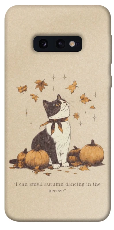 Чохол на Samsung Galaxy S10e Autumn vibes ver.3 фото 1 з 1