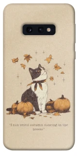 Чохол на Samsung Galaxy S10e Autumn vibes ver.3 фото 1 з 1