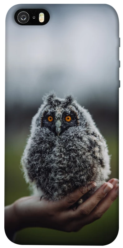 Чохол на Apple iPhone 5/5S/SE Совеня фото 1 з 1