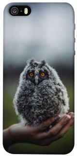 Чохол на Apple iPhone 5/5S/SE Совеня фото 1 з 1