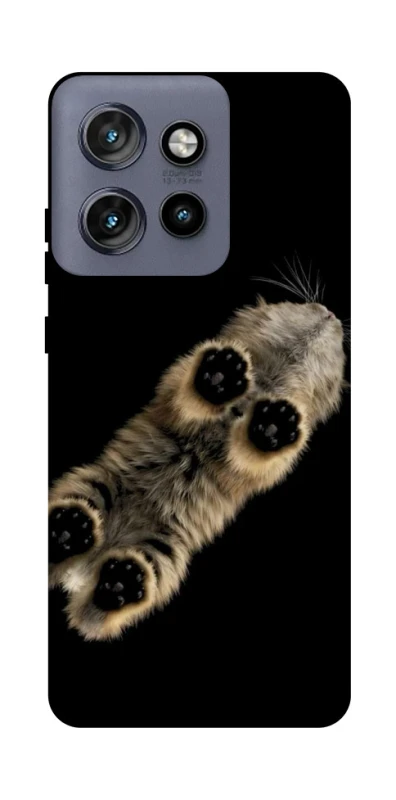 Чохол на Motorola Edge 50 Neo Cat фото 1 з 1