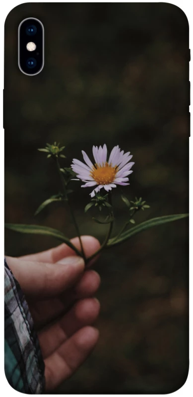 Чехол на Apple iPhone XS Max (6.5") Ромашка v4 фото 1 из 1