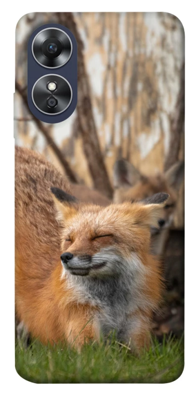 Чехол на Oppo A17 Лиса фото 1 из 1