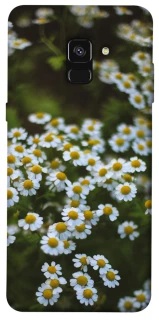 Чехол на Samsung A530 Galaxy A8 (2018) Ромашки v13 фото 1 из 1