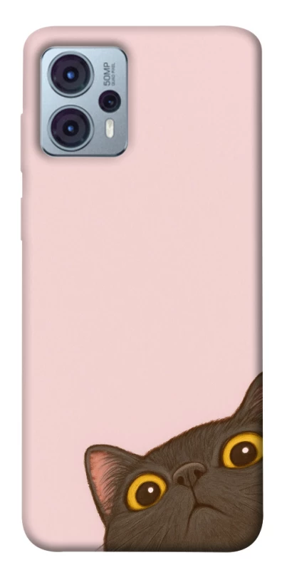 Чохол на Motorola Moto G23 Peeping cat фото 1 з 1