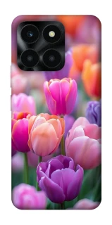 Чохол на Huawei Honor X6a Тюльпанове поле фото 1 з 1