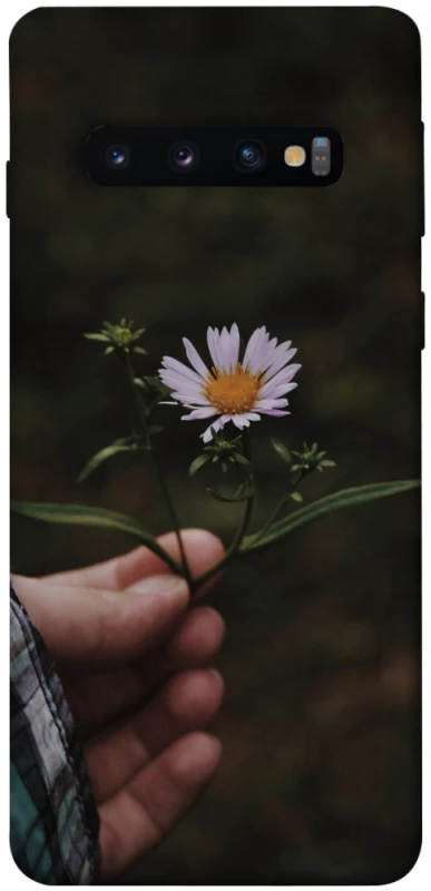Чехол на Samsung Galaxy S10 Ромашка v4 фото 1 из 1