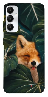 Чехол на Samsung Galaxy A05s Fox фото 1 из 1