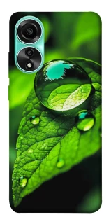 Чохол на Oppo A78 4G Flowers v16 фото 1 з 1