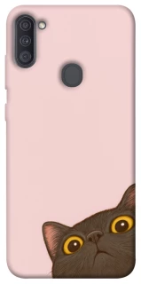 Чохол на Samsung Galaxy A11 Peeping cat фото 1 з 1