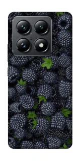 Чохол на Xiaomi 14T Pro Fresh фото 1 з 1