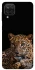 Чехол на Samsung Galaxy A12 Leopard v4 фото 1 из 1