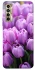 Чохол на TECNO Camon 17P Фіолетові тюльпани фото 1 з 1