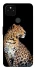 Чохол на Google Pixel 5A Leopard v2 фото 1 з 1