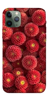 Чохол на Apple iPhone 11 Pro (5.8") Midnight1 фото 1 з 1