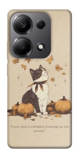 Чехол на Xiaomi Redmi Note 13 Pro 4G Autumn vibes ver.3 фото 1 из 1