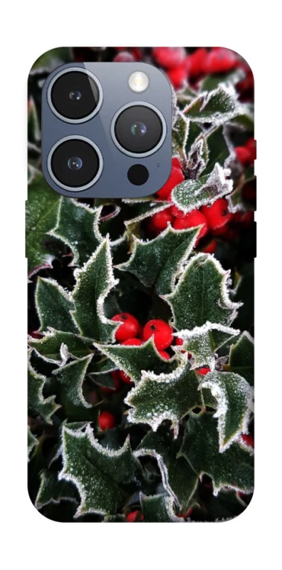 Чехол на Apple iPhone 16 Pro Новогодний v32 фото 1 из 1