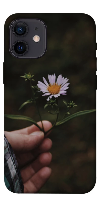 Чохол на Apple iPhone 12 mini (5.4") Ромашка v4 фото 1 з 1