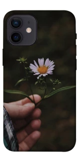 Чехол на Apple iPhone 12 mini (5.4") Ромашка v4 фото 1 из 1