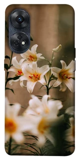 Чехол на Oppo Reno 8T 4G Лилии фото 1 из 1