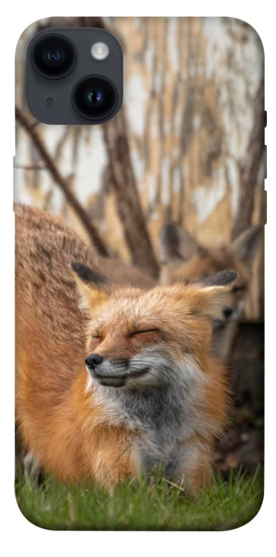 Чехол на Apple iPhone 14 Plus (6.7") Лиса фото 1 из 1