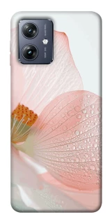 Чохол на Motorola Moto G54 Flowers zon фото 1 Чохол на Motorola Moto G54 Flowers zon фото 1 з 1
