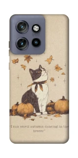 Чехол на Motorola Edge 50 Neo Autumn vibes ver.3 фото 1 Чехол на Motorola Edge 50 Neo Autumn vibes ver.3 фото 1 из 1