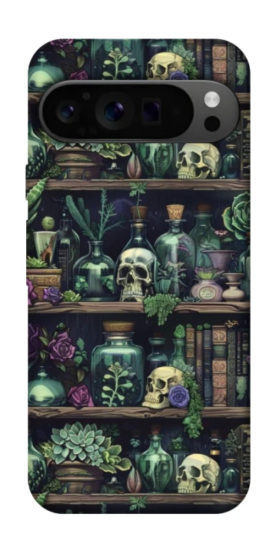 Чохол на Google Pixel 9 Pro Bookshelf ver.1 фото 1 з 1