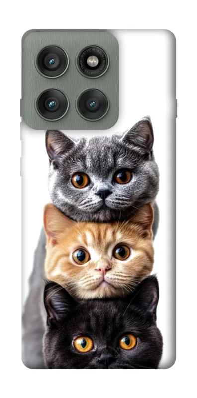 Чохол на Motorola Edge 60 Pro Гарні котики фото 1 з 1
