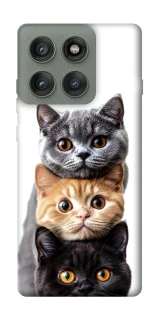 Чохол на Motorola Edge 60 Pro Гарні котики фото 1 з 1