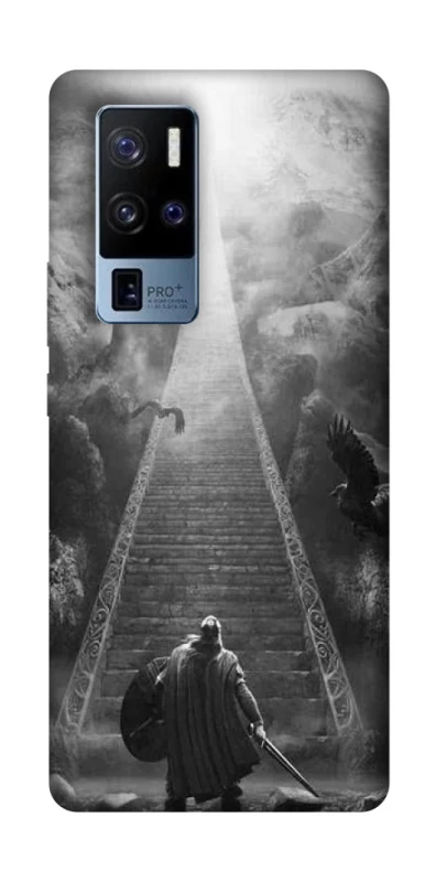 Чехол на Vivo X50 Pro+ Valhalla фото 1 из 1