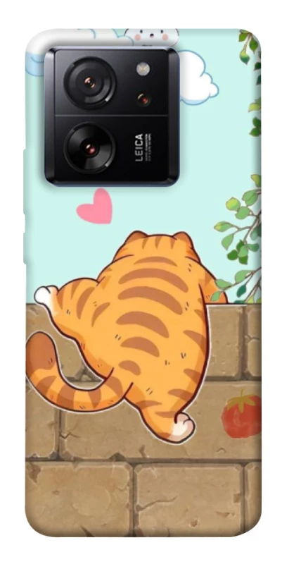 Чехол на Xiaomi 13T Cat the meow фото 1 из 1