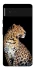 Чохол на Google Pixel 6 Leopard v2 фото 1 з 1