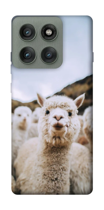 Чохол на Motorola Edge 60 Pro Лама фото 1 з 1