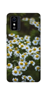 Чехол на ZTE Blade L9 Ромашки v13 фото 1 из 1