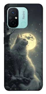 Чохол на Xiaomi Redmi 12C / Poco C55 Кіт під місяцем фото 1 з 1
