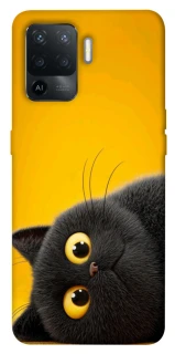 Чохол на Oppo Reno 5 Lite This is Cat фото 1 з 1