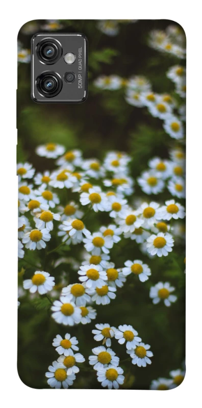 Чохол на Motorola Moto G32 Ромашки v13 фото 1 з 1